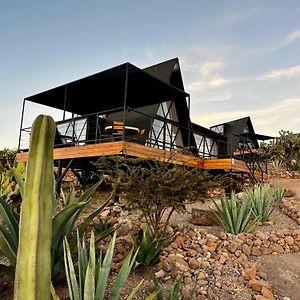 Hotel Coyote